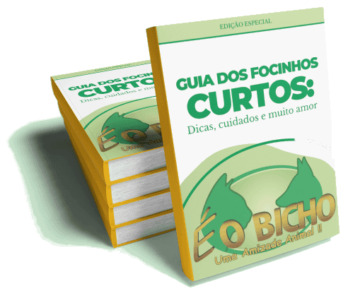 Capa do E-book de Focinhos Achatados